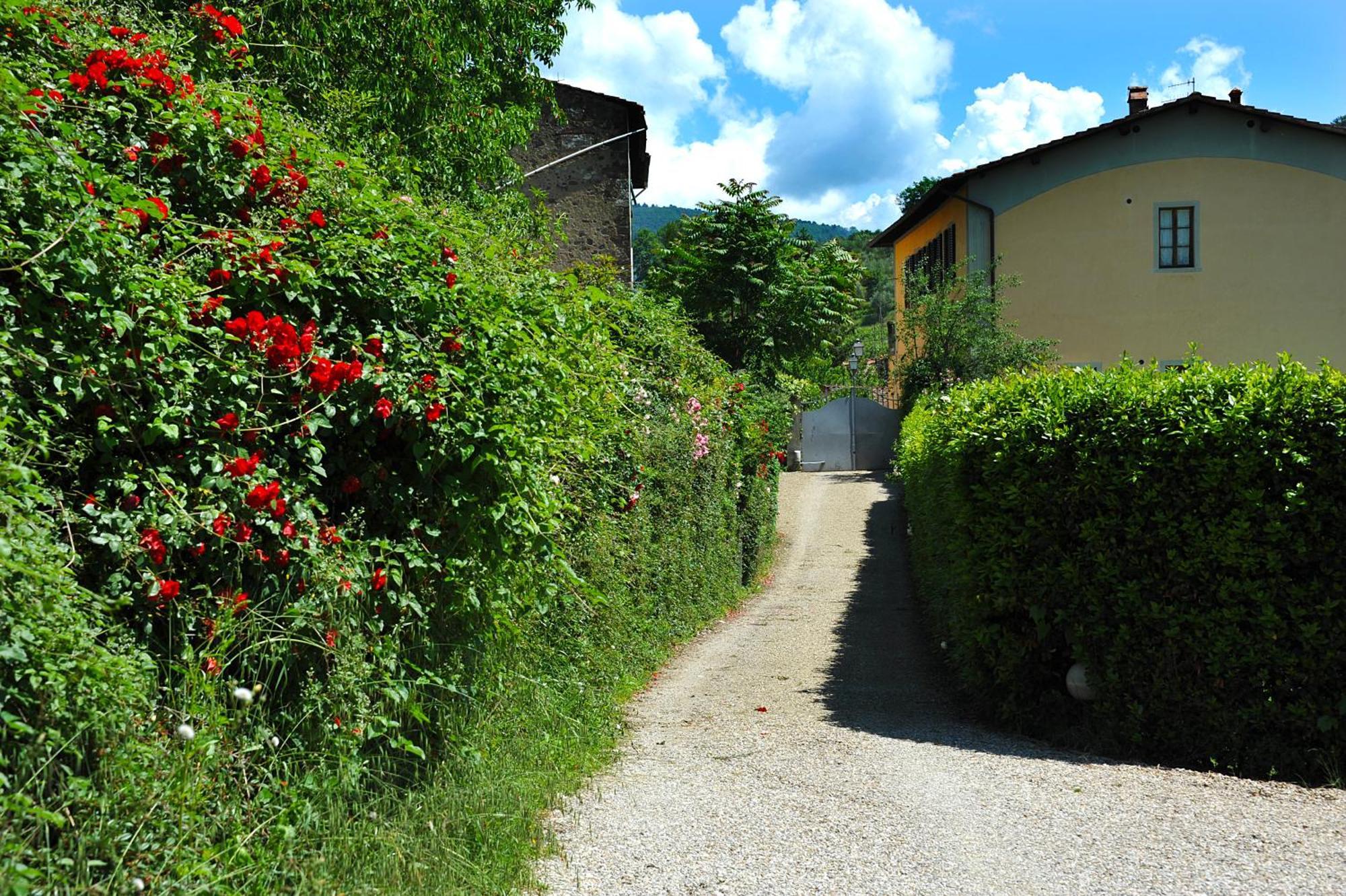 Antico Pastificio Apart otel Greve in Chianti Dış mekan fotoğraf