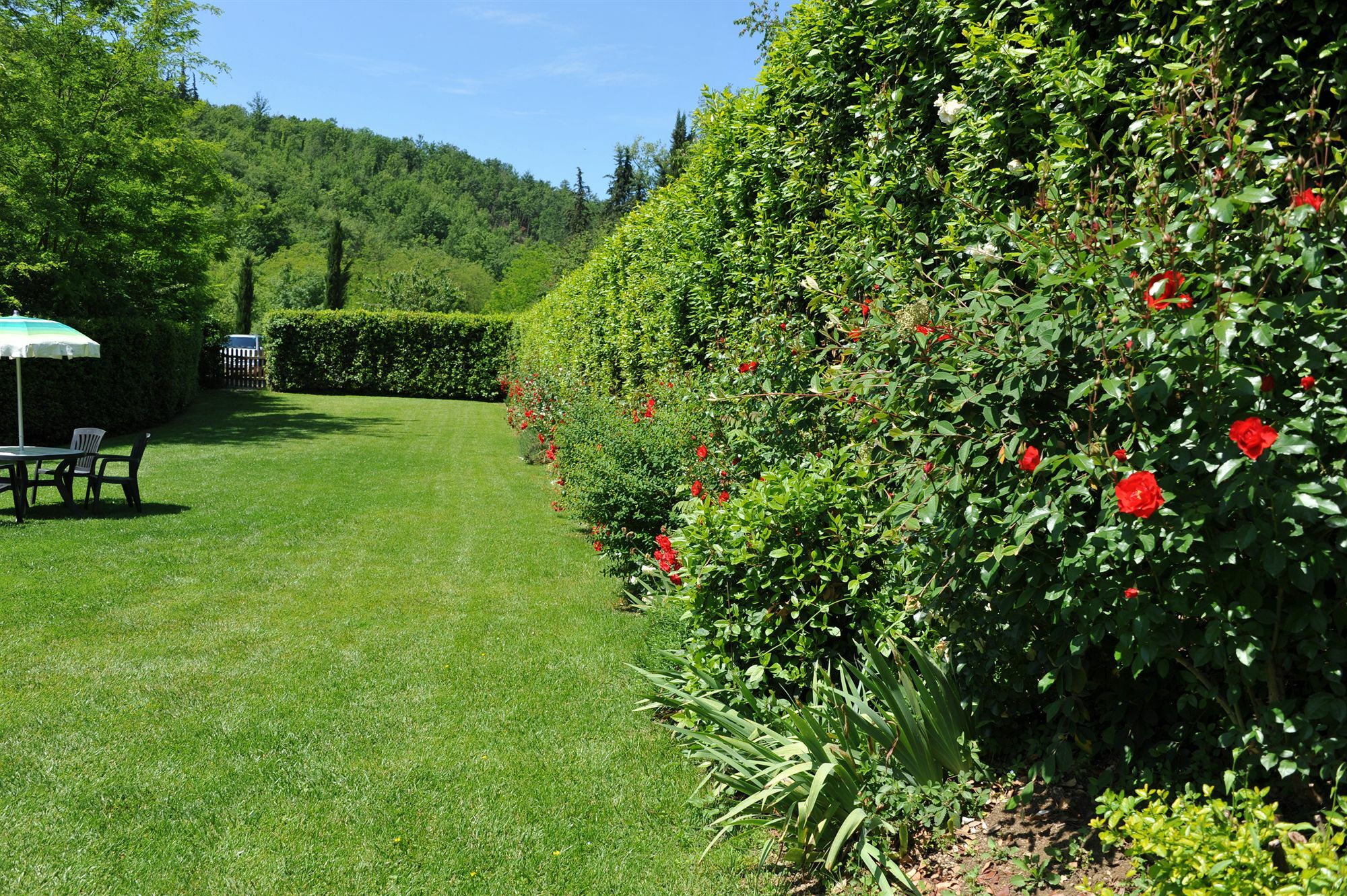 Antico Pastificio Apart otel Greve in Chianti Dış mekan fotoğraf